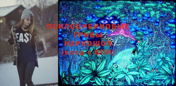 эйфоретик Галич