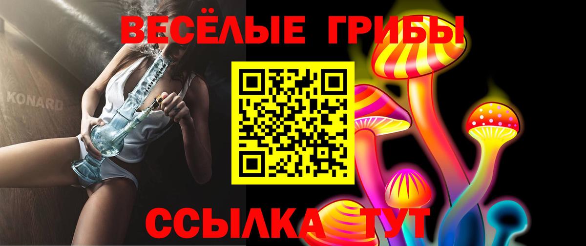 Псилоцибиновые грибы Cubensis Унеча